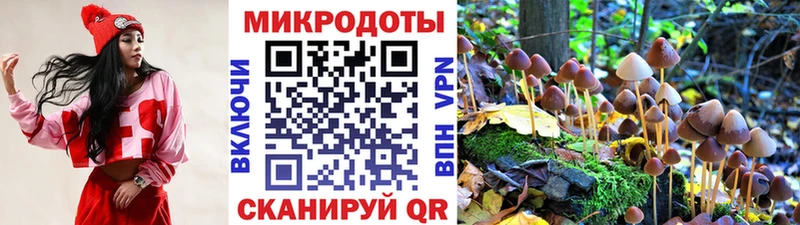 Галлюциногенные грибы мицелий  нарко площадка как зайти  Нерехта  ссылка на мегу  